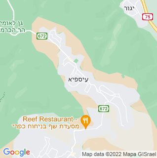 מפה