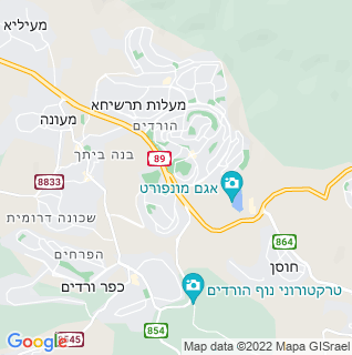 מפה