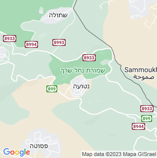 מפה