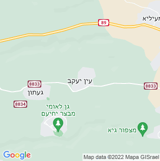 מפה