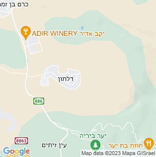 מפה