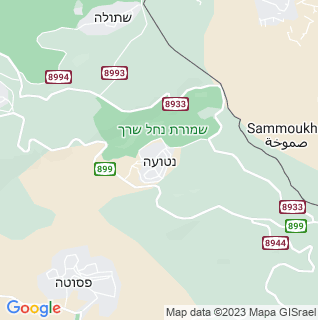 מפה