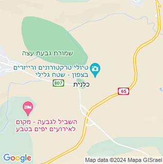 מפה
