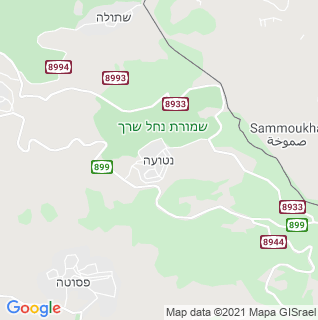 מפה