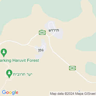 מפה