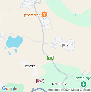מפה