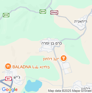 מפה