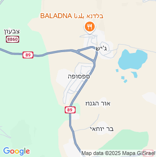 מפה
