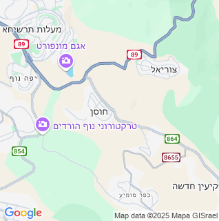 מפה