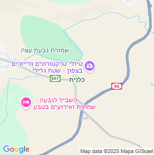 מפה