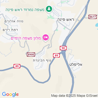 מפה