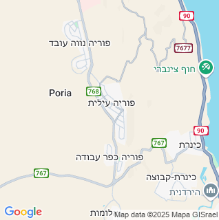 מפה