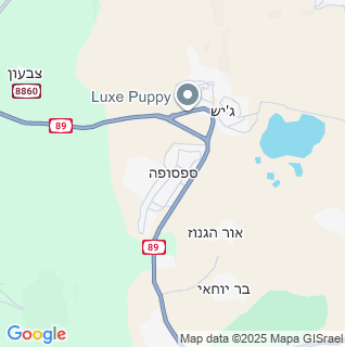 מפה