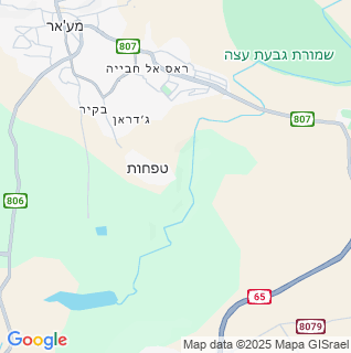 מפה