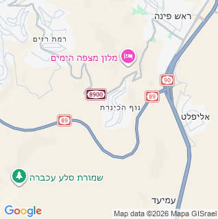 מפה