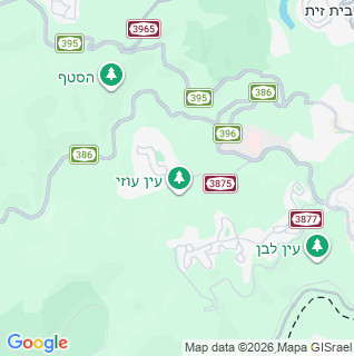 מפה