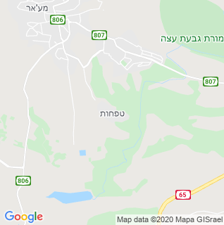 מפה