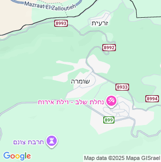 מפה