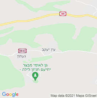 מפה